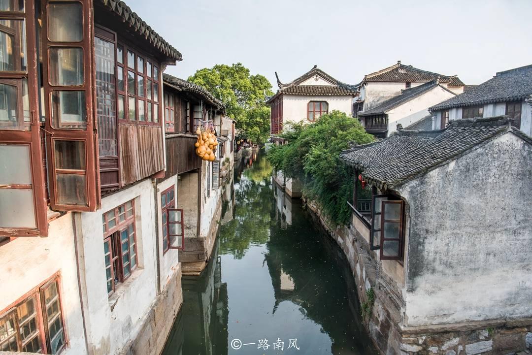 救援淘气的小狗